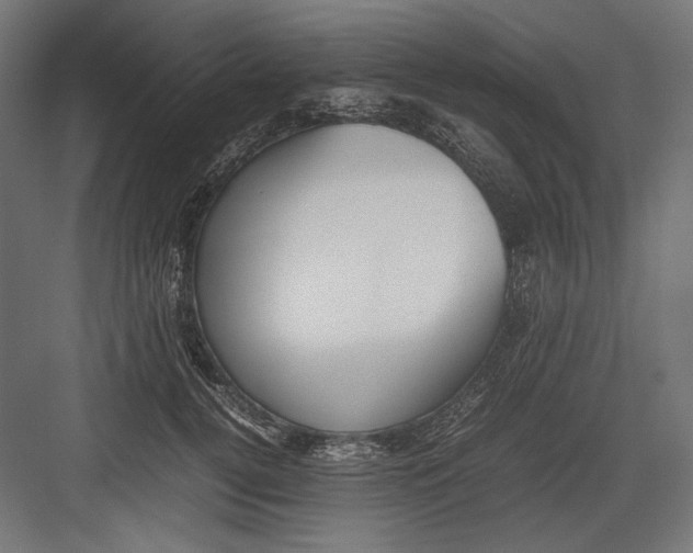 X0000082700752200702161749