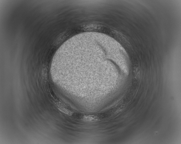 X0000082700753200702161749