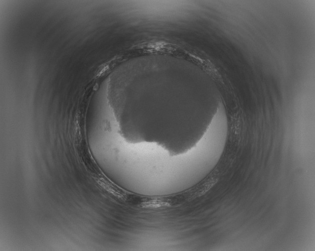 X0000082700754200702161749