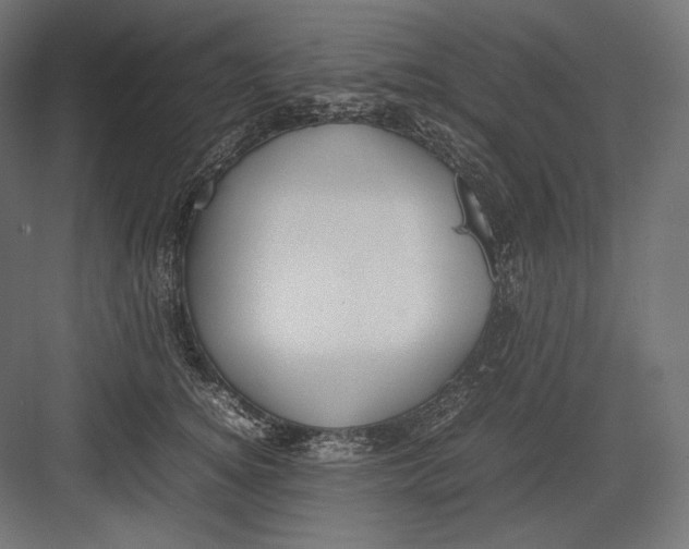 X0000082700756200702161749