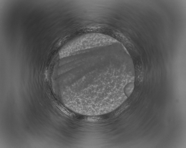 X0000082700758200702161749