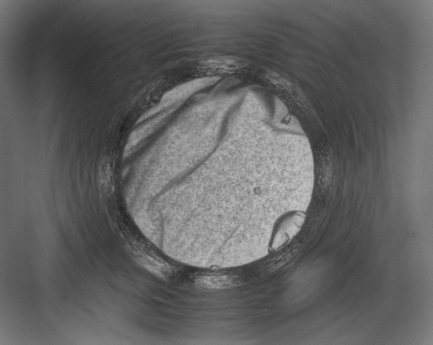 X0000082700759200702161749