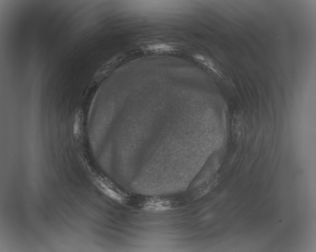 X0000082700760200702161749