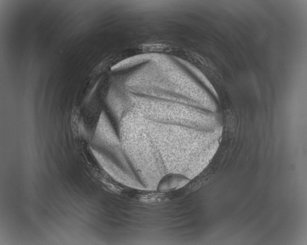 X0000082700761200702161749