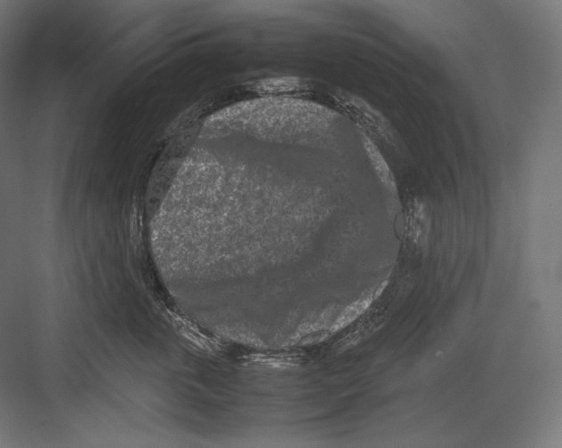 X0000082700763200702161749