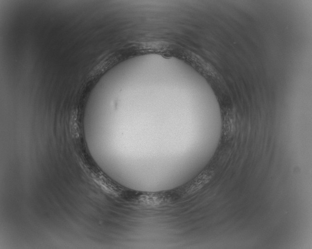 X0000082700764200702161750