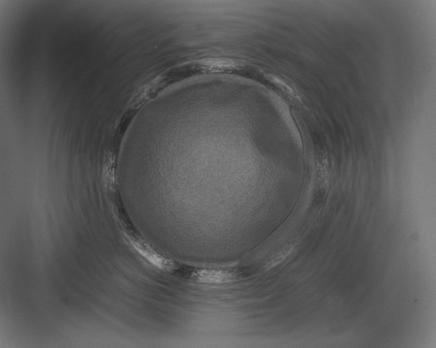 X0000082700766200702161750