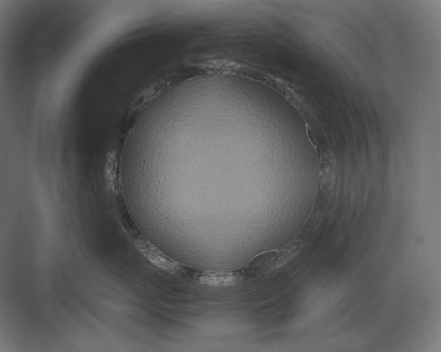 X0000082700767200702161750