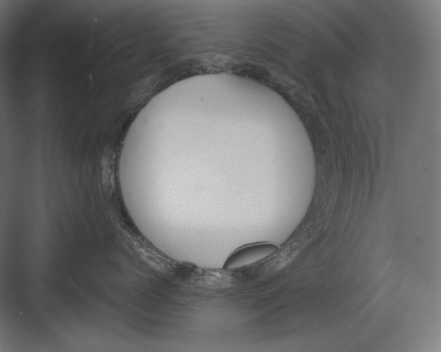 X0000082700768200702161750