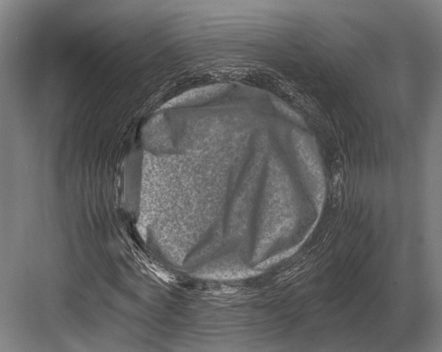 X0000082700772200702161749