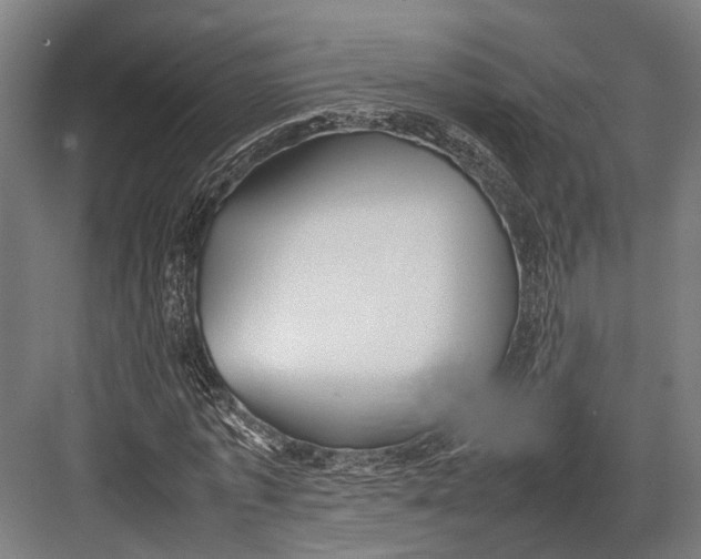 X0000082700773200702161749