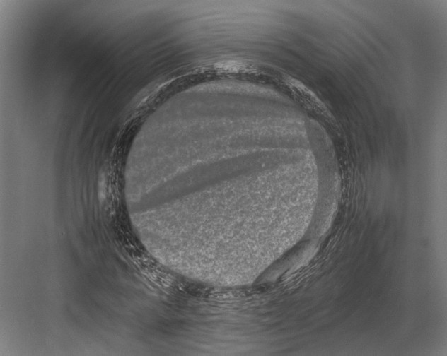 X0000082700776200702161749