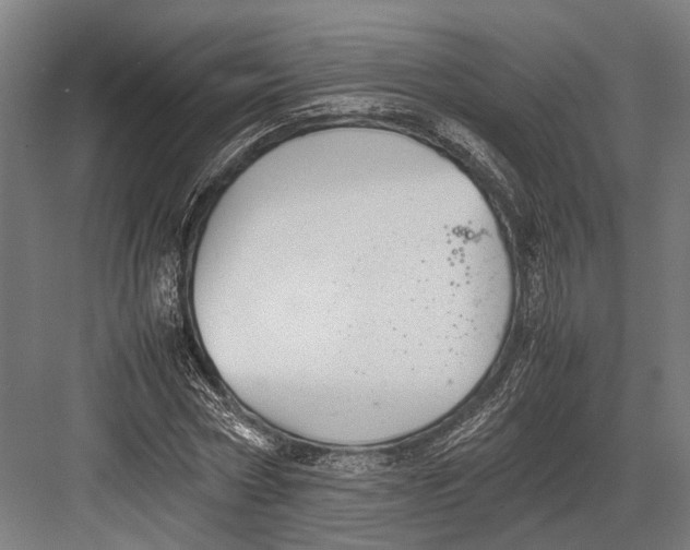 X0000082700778200702161749