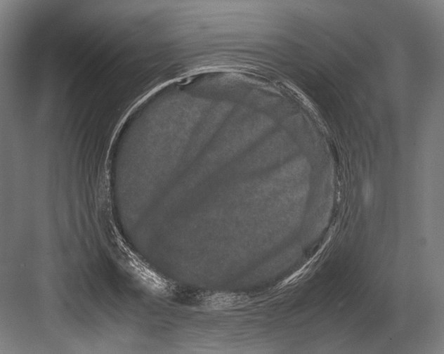 X0000082700779200702161749