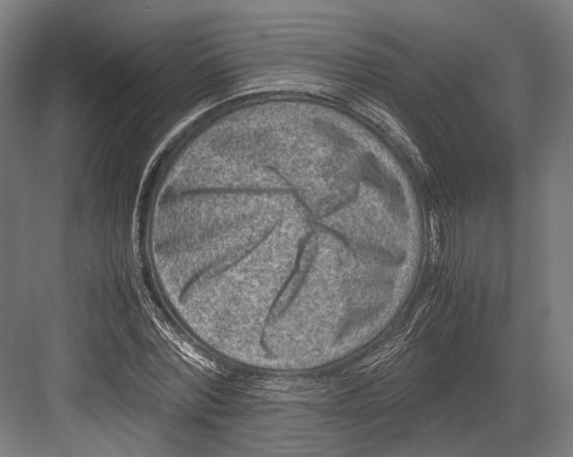 X0000082700780200702161749