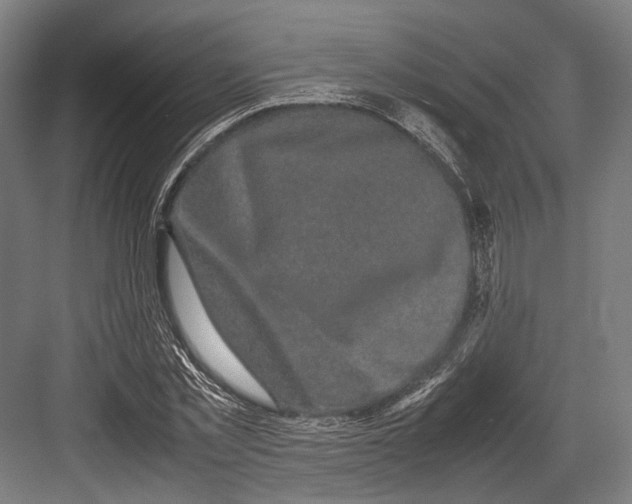 X0000082700781200702161749