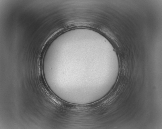 X0000082700782200702161749