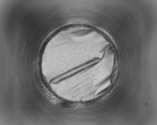 X0000082700783200702161749