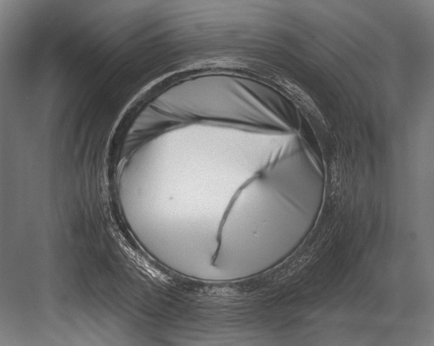 X0000082700784200702161749