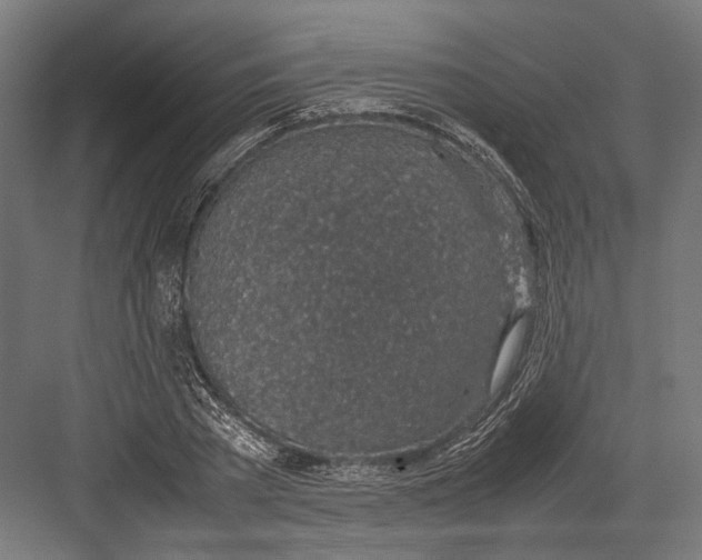 X0000082700785200702161749