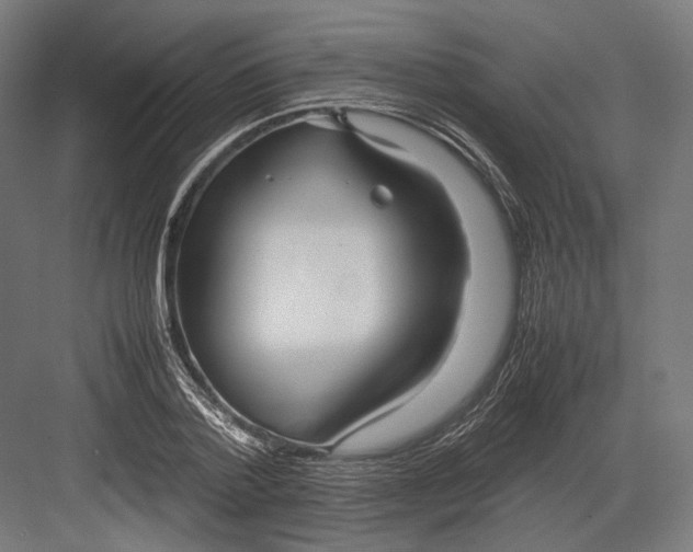 X0000082700788200702161748