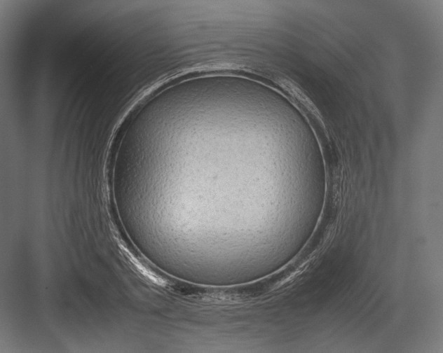 X0000082700789200702161748