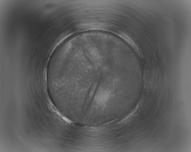 X0000082700790200702161748