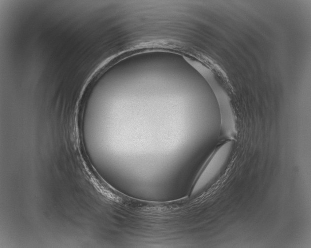 X0000082700792200702161748