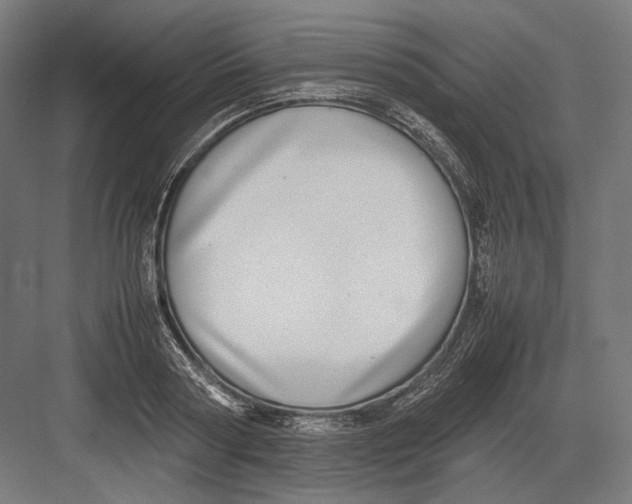 X0000082700794200702161748