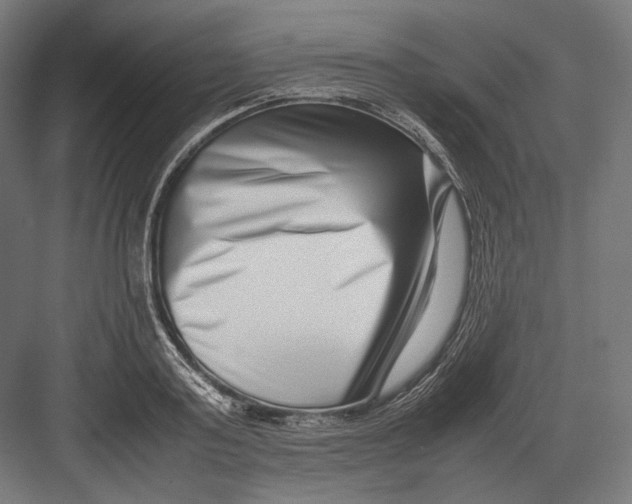 X0000082700795200702161748