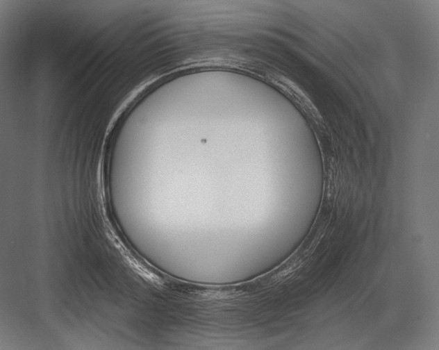 X0000082700796200702161748