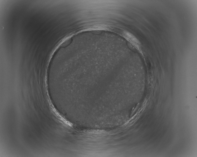 X0000082700797200702161748