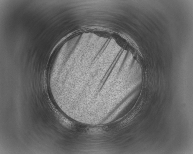 X0000082700798200702161748