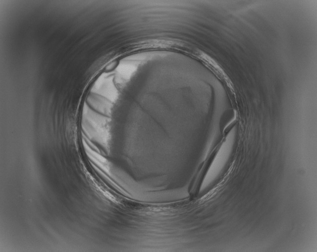 X0000082700802200702161748