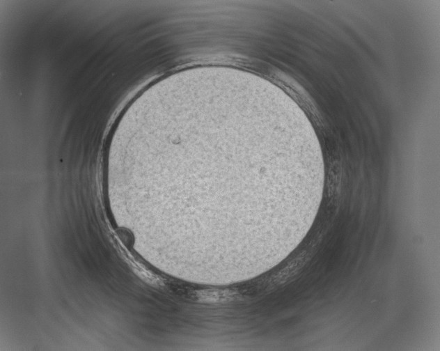 X0000082700804200702161748