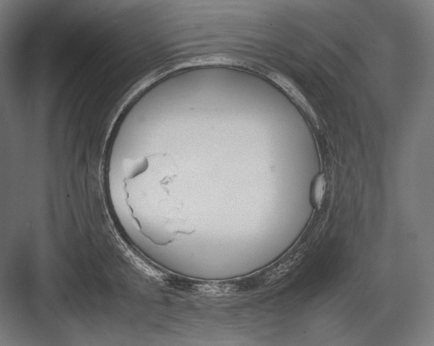 X0000082700805200702161748