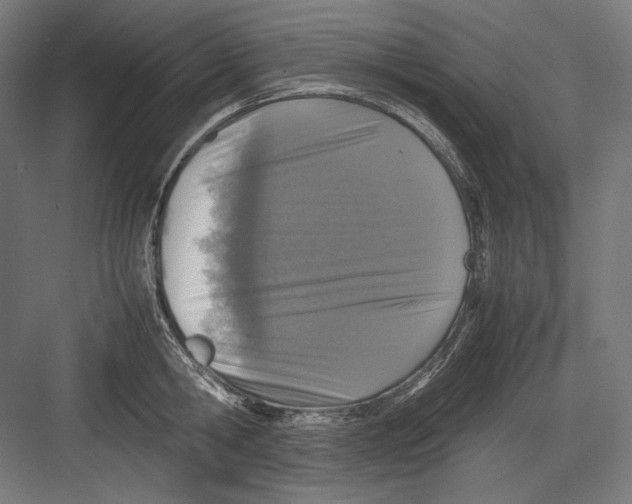 X0000082700806200702161748