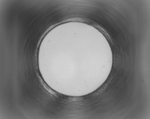 X0000082700808200702161748