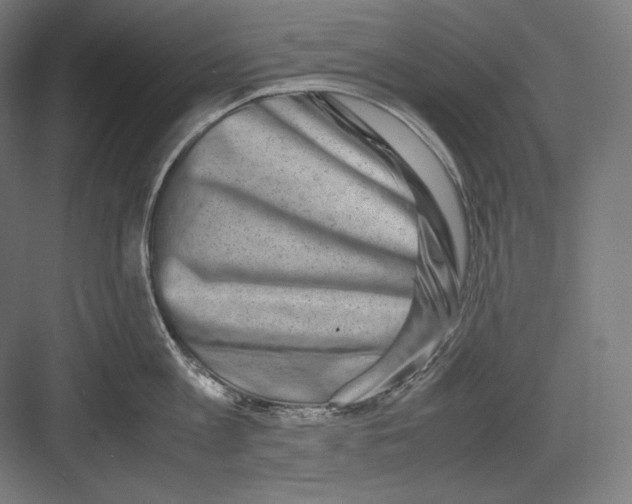 X0000082700813200702161748