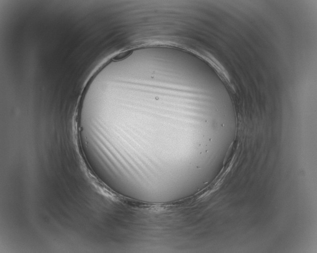 X0000082700814200702161748