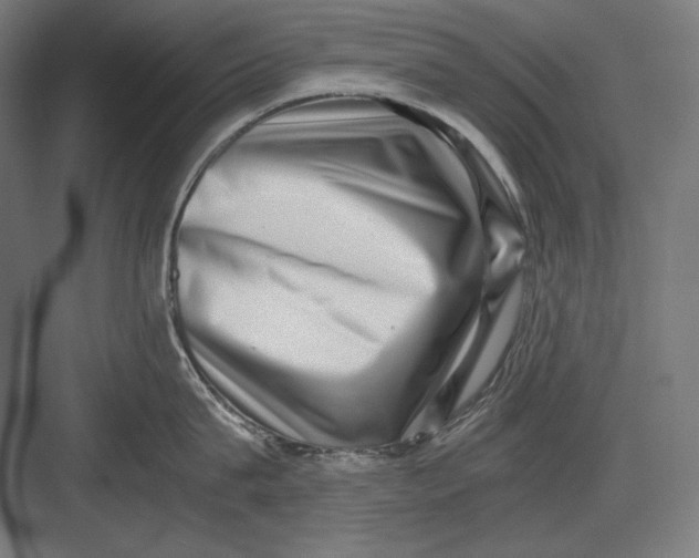 X0000082700815200702161748