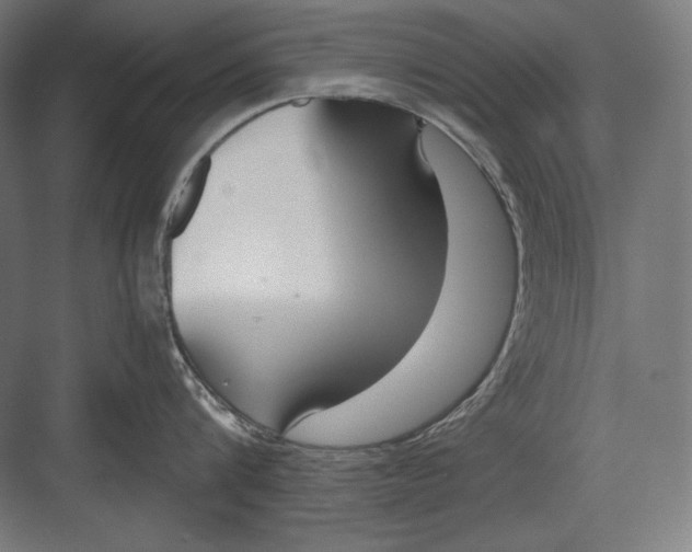 X0000082700816200702161748