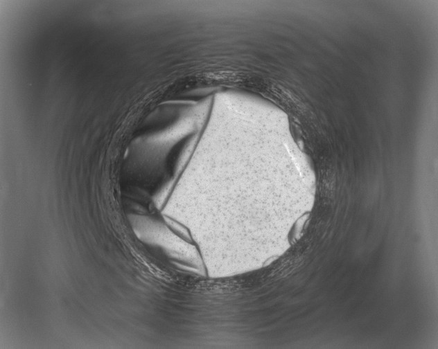 X0000082700817200702161747