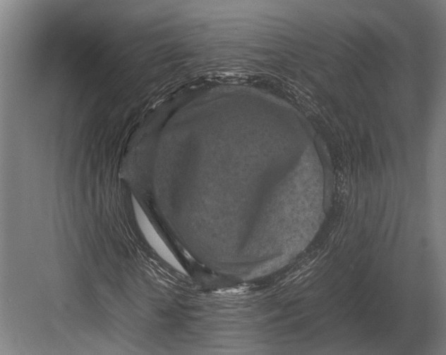 X0000082700818200702161747