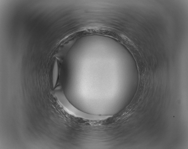 X0000082700822200702161747