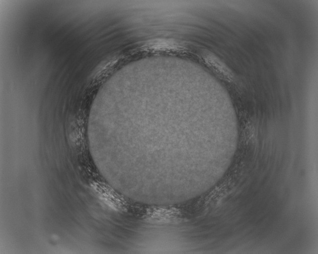 X0000082700824200702161747