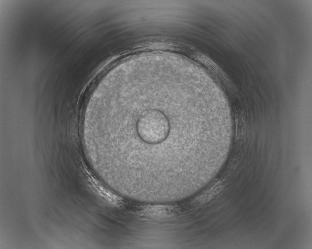 X0000082700828200702161747