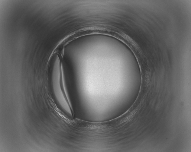 X0000082700830200702161747