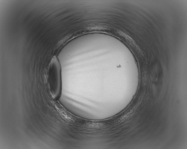 X0000082700833200702161747