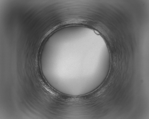 X0000082700834200702161747